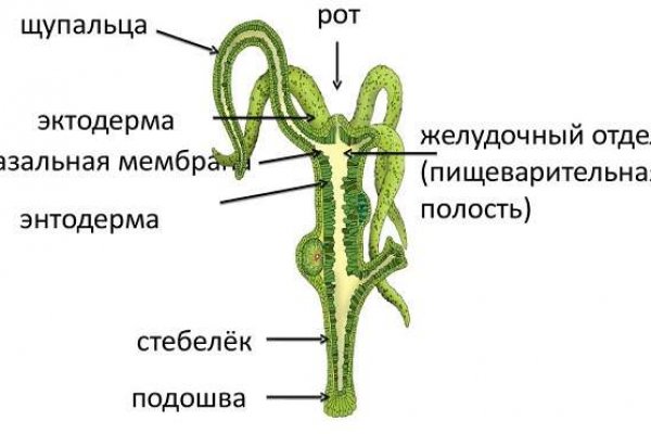 Как зайти на сайт blacksprut blacksprut wiki