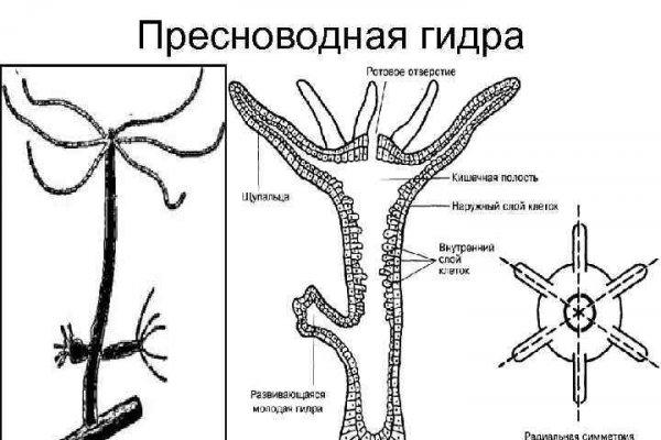 Черный спрут blacksprut adress com