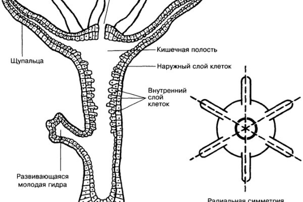 Сайт blacksprut